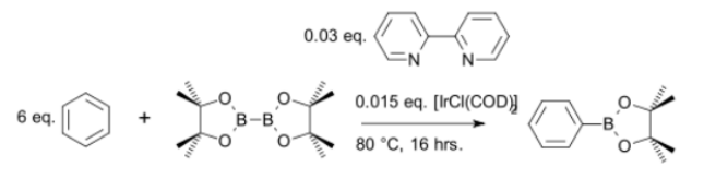図 4 C-H 結合活性化による芳香族ボロン酸合成