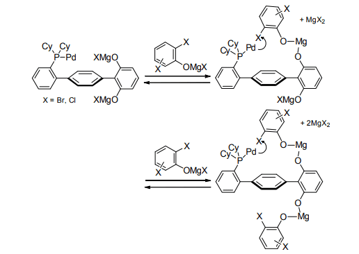 Scheme 2. Complex formation between the Pd-DHTP catalyst and substrate.