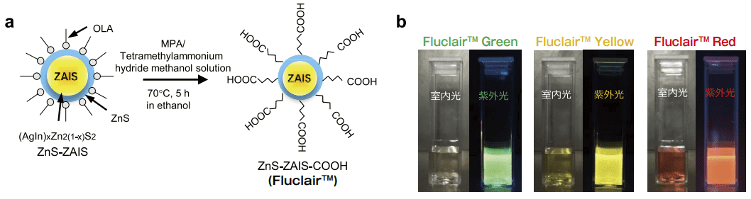 図１．Fluclair 量子ドットの合成方法と PBS 中における蛍光写真