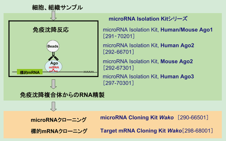 図2．Ago免疫沈降法をベースにしたmicroRNA解析ツール