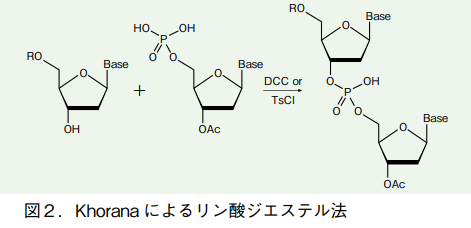 図2．Khorana によるリン酸ジエステル法