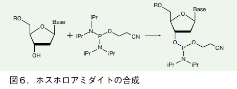 図6．ホスホロアミダイトの合成