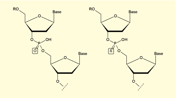図4. 通常のリン酸ジエステル結合（左）と、ホスホロチオエート（右）