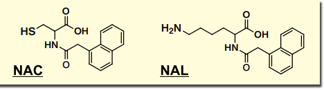 図１．NAC、NAL の構造式
