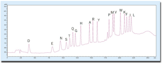図５．PTH- アミノ酸標準混合品の分析（500 fmol）