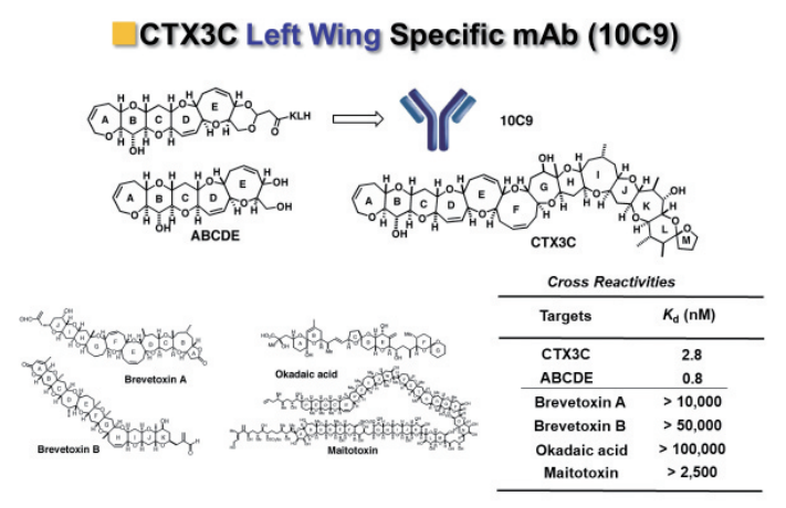 図5. 抗CTX3Cモノクローナル抗体10C9の結合特異性