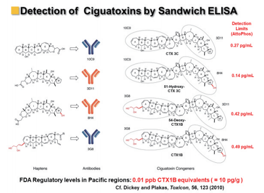 図11. 4種のシガトキシンを検出できる高感度サンドイッチ蛍光ELISA