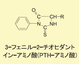 PTH-アミノ酸