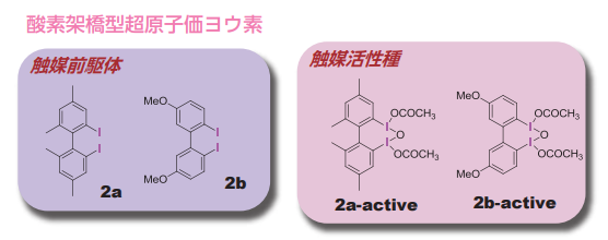図3. μ－オキソ超原子価ヨウ素反応剤および触媒