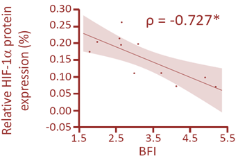 図5 腎組織内HIF-1α発現量とBFI計測値との相関関係