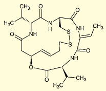図３．ロミデプシン