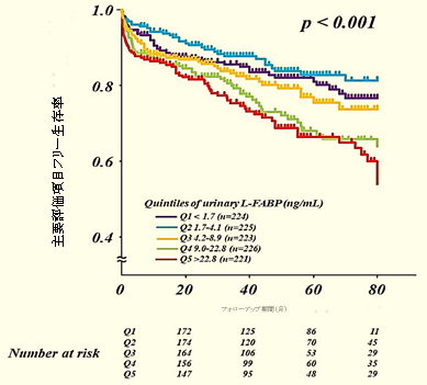 尿中L-FABP値の五分位数ごとの主要評価項目に対する生存曲線