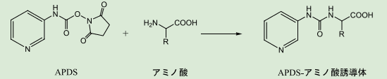 図２．APDS とアミノ酸の反応式