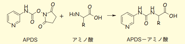 図１． APDSの構造とアミノ酸との反応スキーム