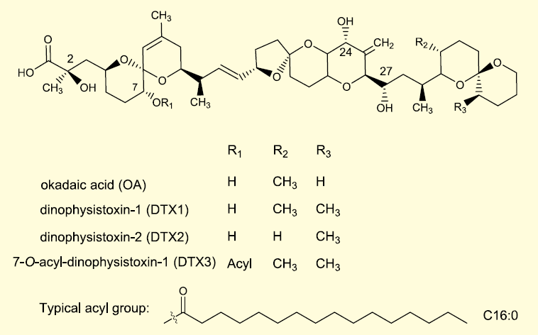 図１． 主要なオカダ酸群の化学構造