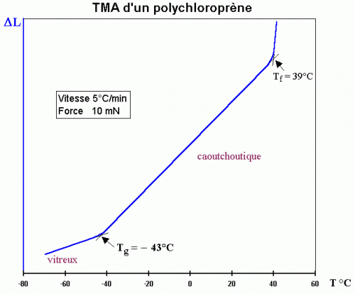 図５．ポリクロロプレンゴムのTMA曲線