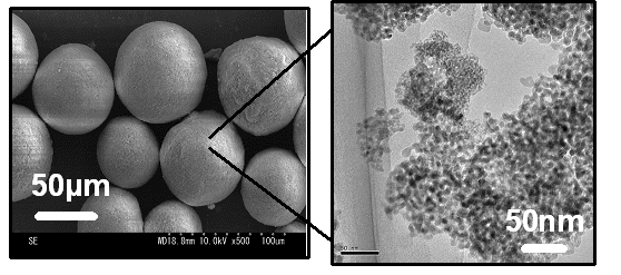 図1．作製した多孔質ジルコニア粒子の電子顕微鏡写真