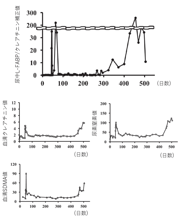 図4 CKDモデルネコにおける尿中L-FABP値の経時的変化および従来の腎機能指標との比較