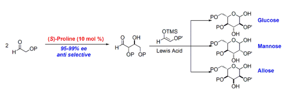 プロリンを不斉触媒として用いた六炭糖類の新規化学合成法