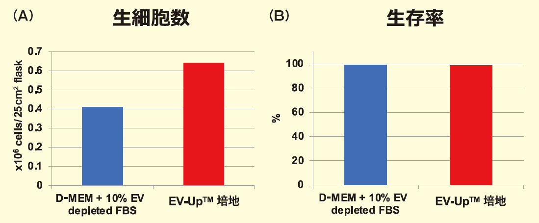 図２． EV-Up™ 培地を用いて培養したMSC の細胞生存率