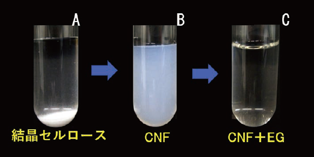 図２．CNF の調製とエンドグルカナーゼによる透明化