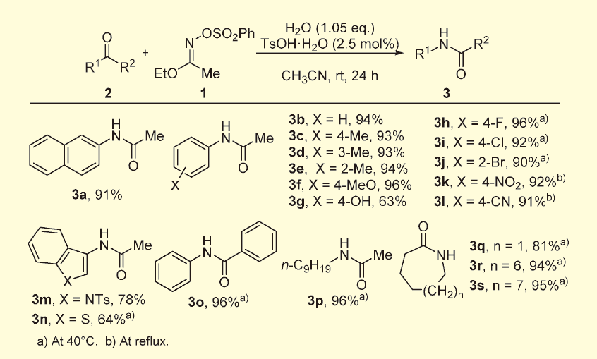 Figure 3．二級アミドの基質一般性