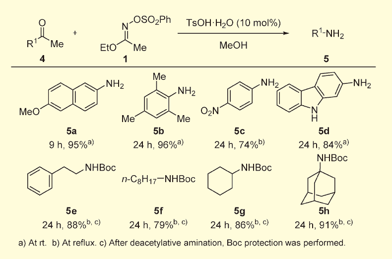 Figure 4．脱アセチル型アミノ化反応の基質一般性