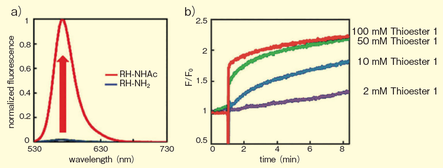 図２．RH-NH2 の蛍光特性