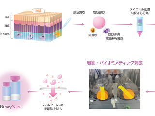 【テクニカルレポート】化粧品原料としてのヒト幹細胞培養液・エクソソーム