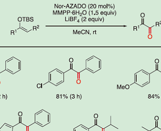 【総説】Nor-AZADO触媒的酸化反応の展開と応用