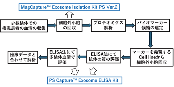 図2．我々が行った、血清からのバイオマーカー開発とMagCapture™ Exosome Isolation Kit PS Ver.2やPS Capture™ Exosome ELISA Kitの使用箇所