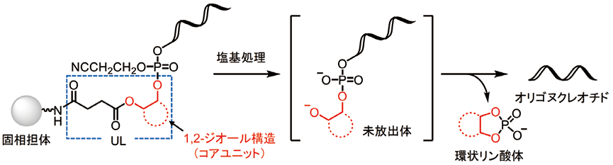 図1．塩基条件下によるUL からオリゴヌクレオチドの放出