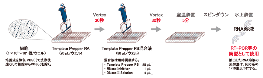 RNA簡易抽出法