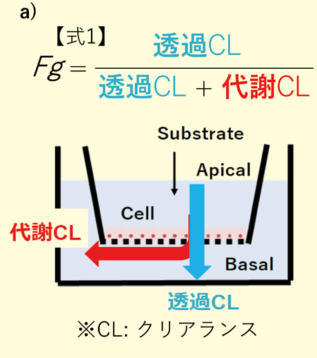 a)代謝物測定を必要とするFg 算出式(式1)とその概念図