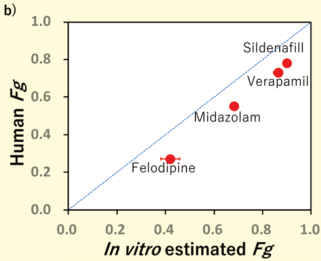 b)薬物のFg 値のIn vitro(式1より計算)-In vivo(文献値)相関