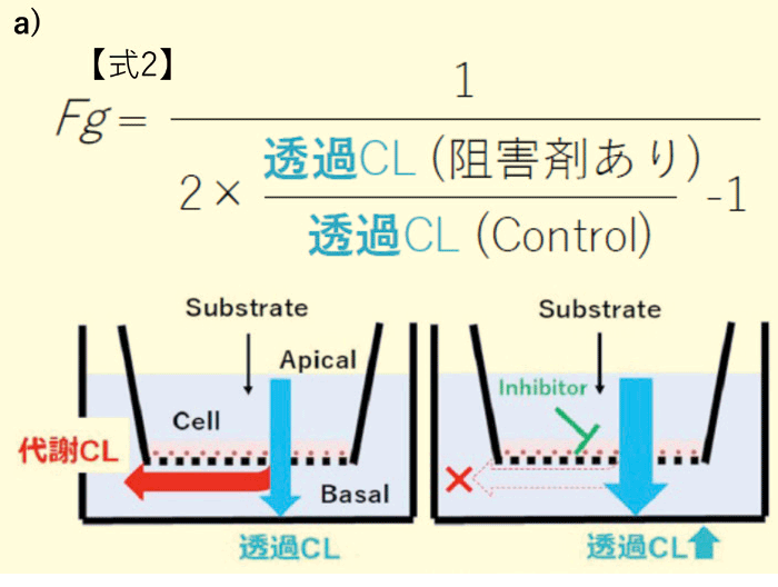 a)代謝物測定を必要としないFg 算出式(式2)とその概念図