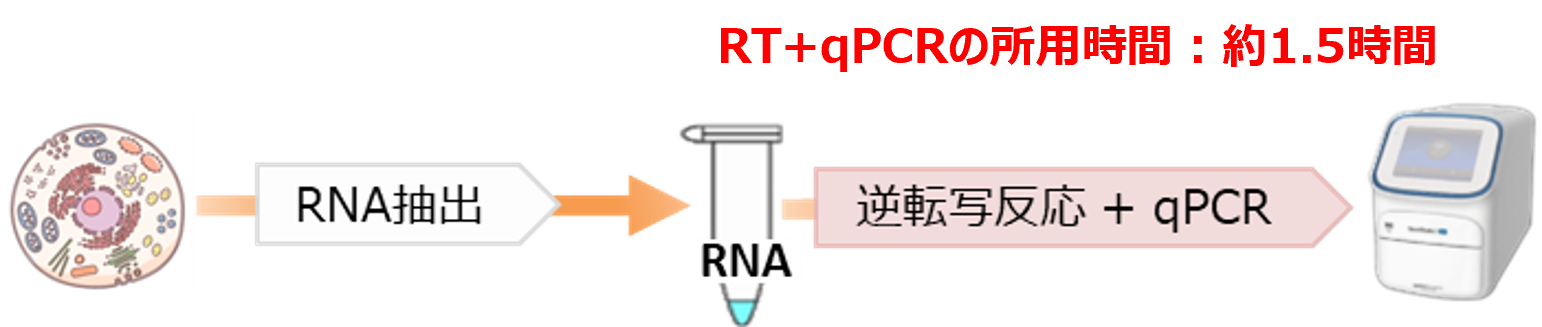 1-Step法の使用製品例と所要時間の例