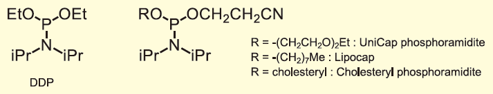 図１． 代表的なホスホロアミダイト型キャッピング剤
