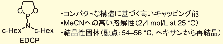 図２． ホスホロアミダイト型キャッピング剤EDCP