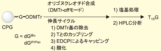 図７． グアニン塩基修飾の評価系