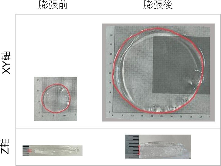 図１．本キットを用いたゲルの膨張