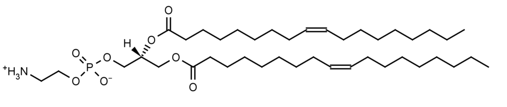 コートソーム ME-8181 (DOPE) (L-α-ジオレオイル ホスファチジルエタノールアミン, 99%)
									
									
										COATSOME ME-8181 (DOPE)