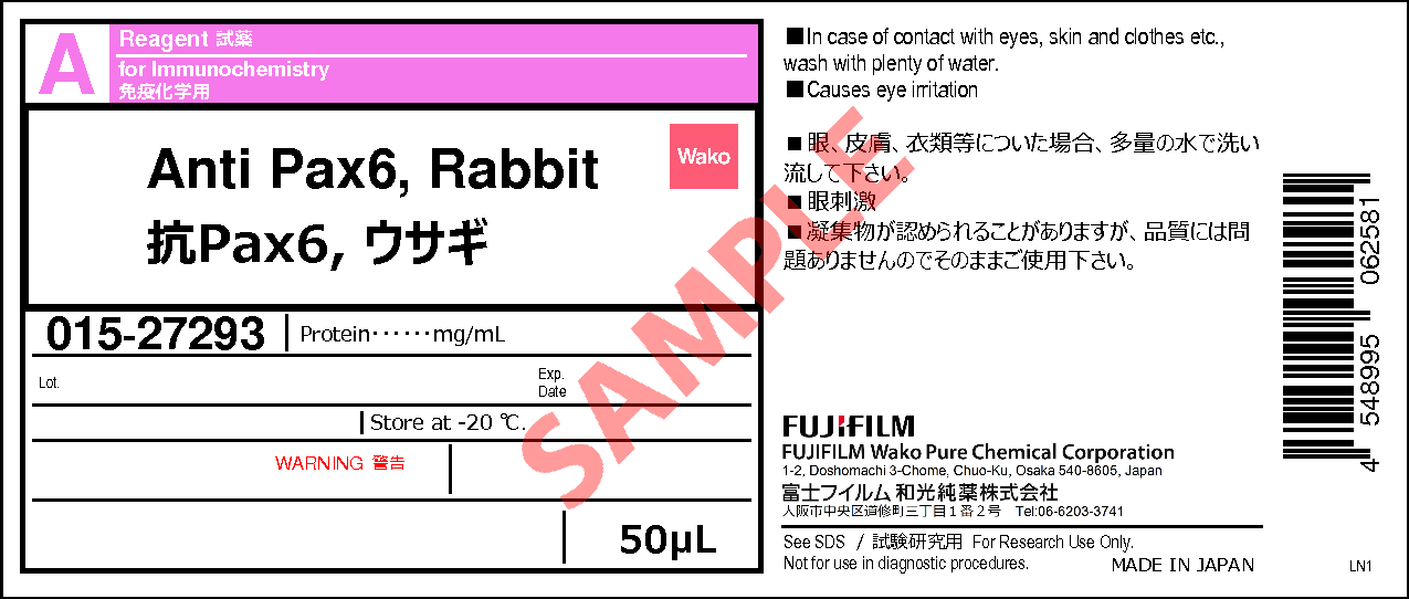 抗Pax6, ウサギ・Anti Pax6, Rabbit・019-27291・015-27293【詳細情報 