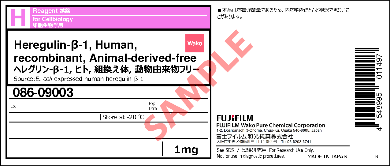 308067-39-2・ヘレグリン-β-1,ヒト,組換え体,動物由来物フリー