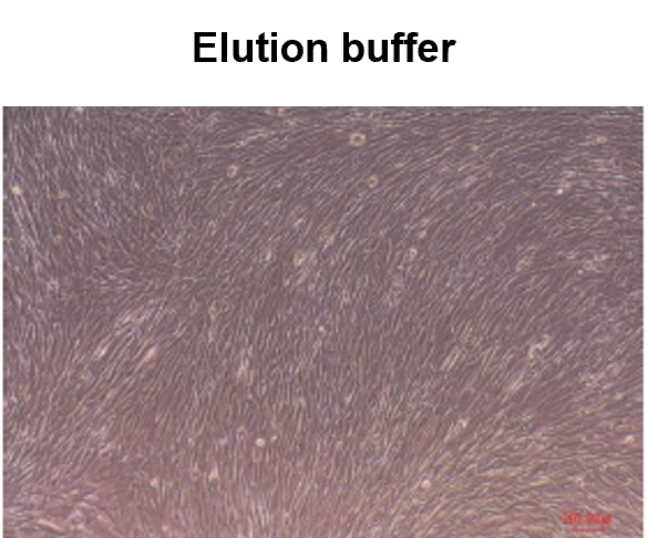Elution buffer