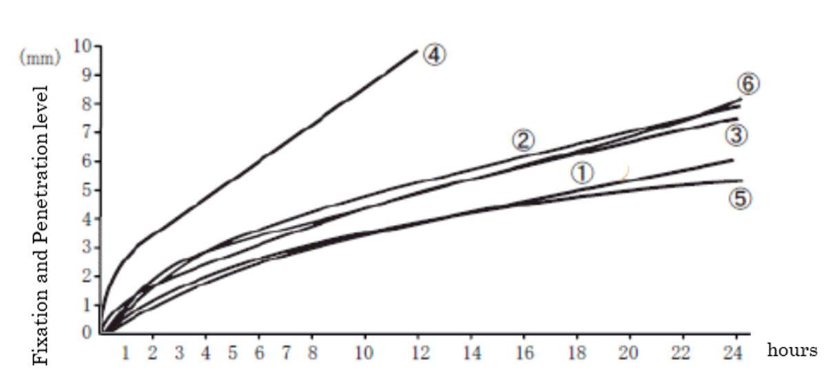 Penetration and fixation test in human liver tissue