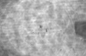 Number of Spheroids[Grade 4]