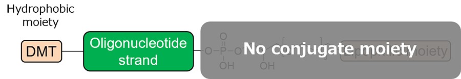 Unconjugated oligonucleotide