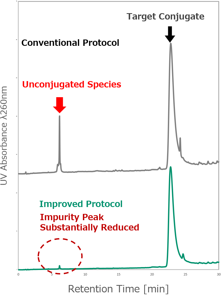 Cholesteryl-TEG conjugated siRNA sense strand