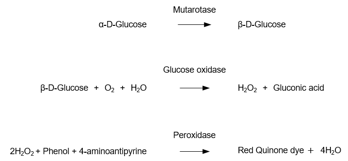 Principle of the glucose assay using the mutarotase-GOD method